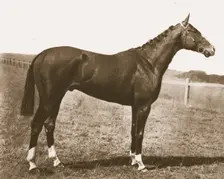 Weathercock, 1911. Creator: Unknown