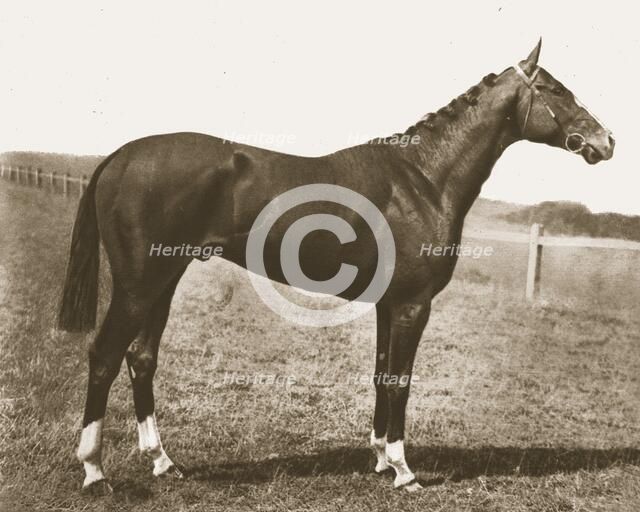 Weathercock, 1911.  Creator: Unknown.