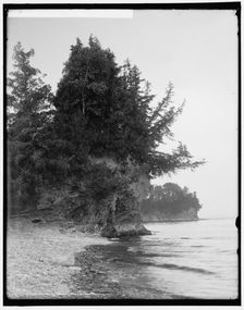 Webb's Point, Shelburne Farms, Vt., between 1900 and 1906. Creator: Unknown