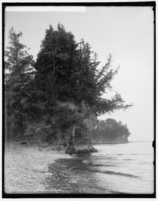 Webb's Point, Shelburne Farms, Vt., between 1900 and 1906. Creator: Unknown