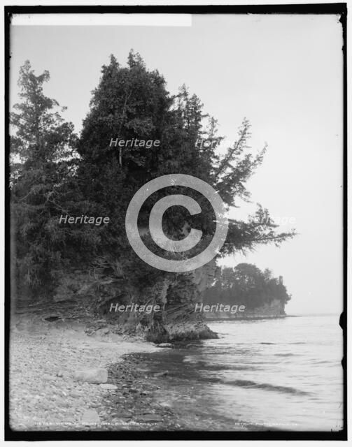 Webb's Point, Shelburne Farms, Vt., between 1900 and 1906. Creator: Unknown.