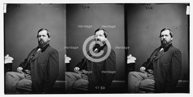 Webster, Hon. Edwin Hanson of Md. Colonel of 7th Md. Inf. Regt. 1862-3, ca. 1860-1865. Creator: Unknown.