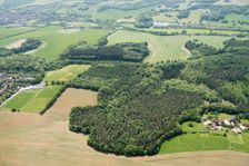 Weedonhill Wood, Shardeloes, Amersham, Buckinghamshire, 2018 Creator: Historic England