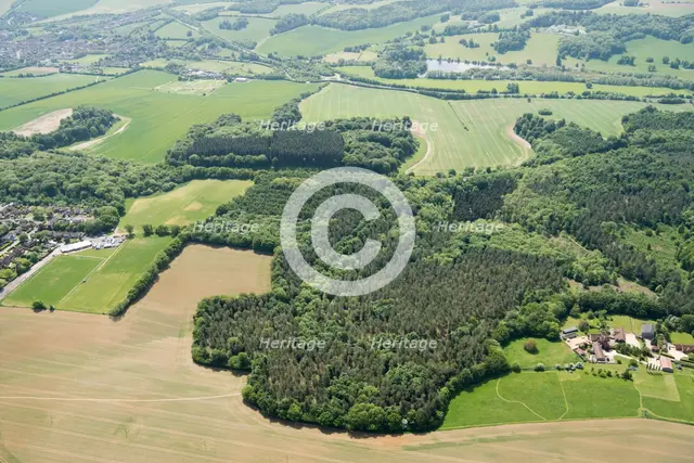Weedonhill Wood, Shardeloes, Amersham, Buckinghamshire, 2018 Creator: Historic England.