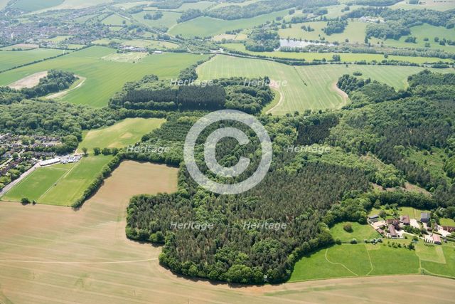Weedonhill Wood, Shardeloes, Amersham, Buckinghamshire, 2018 Creator: Historic England.