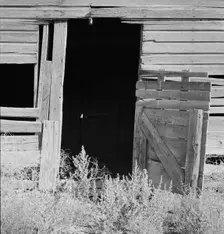 Weeds crowd the barn door abandoned in Columbian Basin, Grant County, Washington, 1939. Creator: Dorothea Lange