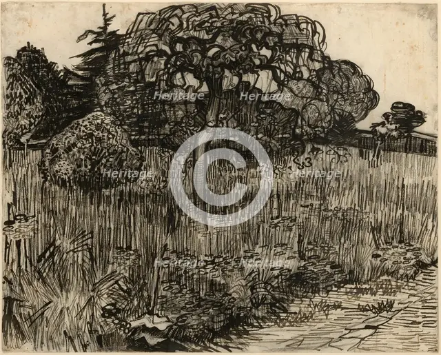 Weeping Tree, 1889. Creator: Vincent van Gogh.