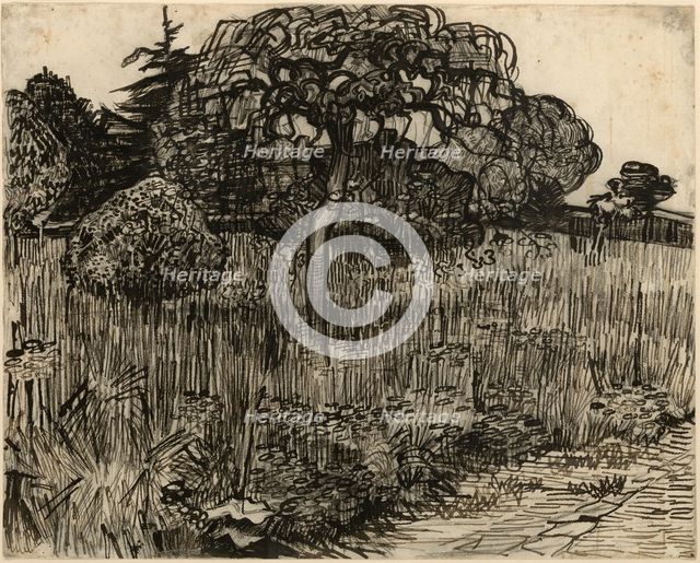 Weeping Tree, 1889. Creator: Vincent van Gogh.