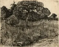 Weeping Tree, 1889. Creator: Vincent van Gogh