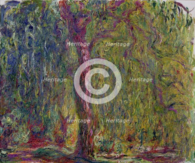 Weeping Willow, 1918-1919.