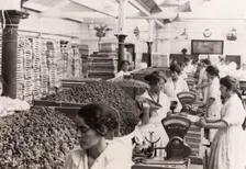 Weighing and packing Rowntree’s Fruit Pastilles, York, Yorkshire, 1923