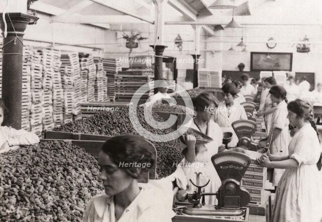 Weighing and packing Rowntree’s Fruit Pastilles, York, Yorkshire, 1923. Artist: Unknown