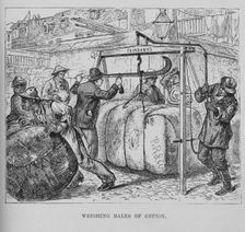 Weighing bales of cotton, 1882. Creator: Unknown