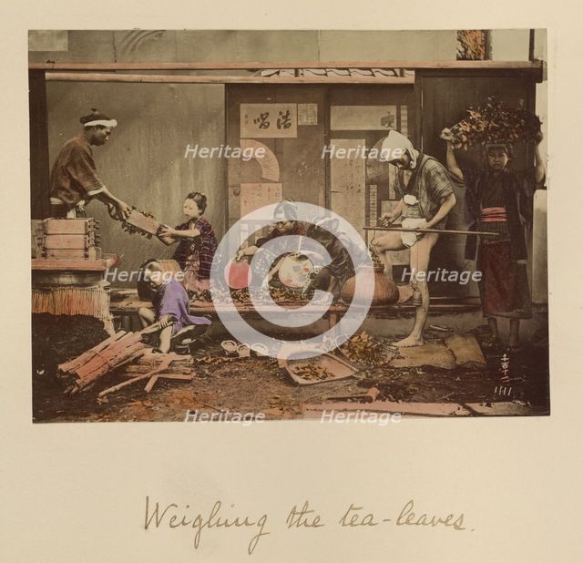 Weighing the Tea Leaves, about 1873-1883. Creator: Shinichi Suzuki I.