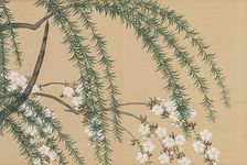 Weiden- und Kirschzweige (Yanagizakura). From the series "A World of Things (Momoyogusa)", 1909-1910 Creator: Sekka, Kamisaka (1866-1942)