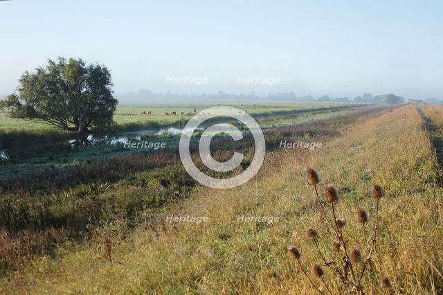 Welches Dam, Byall Fen, Cambridgeshire, c2010-c2018. Creator: Patricia Payne.