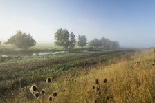 Welches Dam, Byall Fen, Cambridgeshire, c2010-c2018. Creator: Patricia Payne