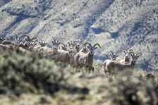 Well, Hello. Creator: Joshua Johnston