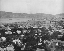 Wellington 19th century