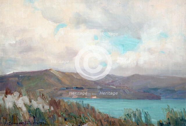 Wellington Harbour from Muritai,  c1910. Creator: Clas Edvard Fristrom.