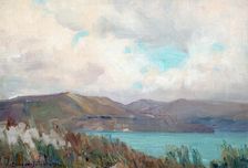 Wellington Harbour from Muritai, c1910. Creator: Clas Edvard Fristrom