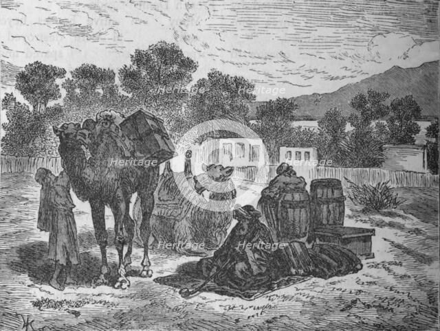 'Wells of Moses, Near Suez', c1882. Artist: Unknown.