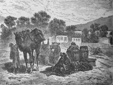 Wells of Moses, Near Suez c1882