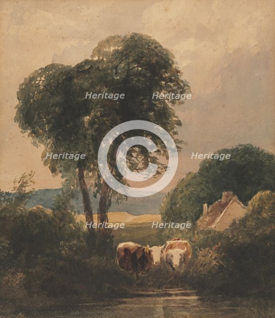 Welsh Landscape with Cattle. Creator: Peter De Wint (British, 1784-1849).