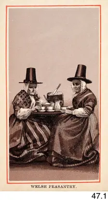 Welsh Peasantry, c1860s-1880s. Creator: Charles Smith Allen