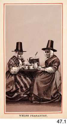 Welsh Peasantry, c1860s-1880s. Creator: Charles Smith Allen