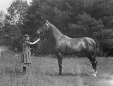 Wertheimer, A., Mr., horse of, 1924 June or July. Creator: Arnold Genthe