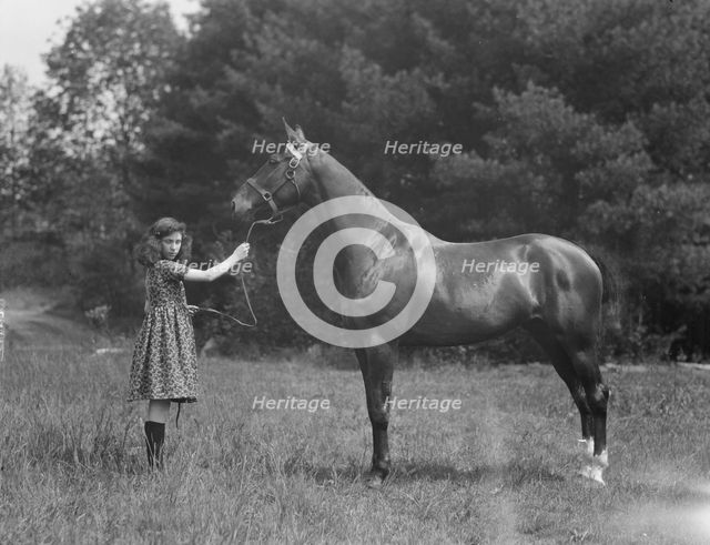Wertheimer, A., Mr., horse of, 1924 June or July. Creator: Arnold Genthe.