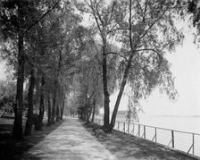 Wessonside Willow Road, Wesson estate, between 1900 and 1910. Creator: Unknown