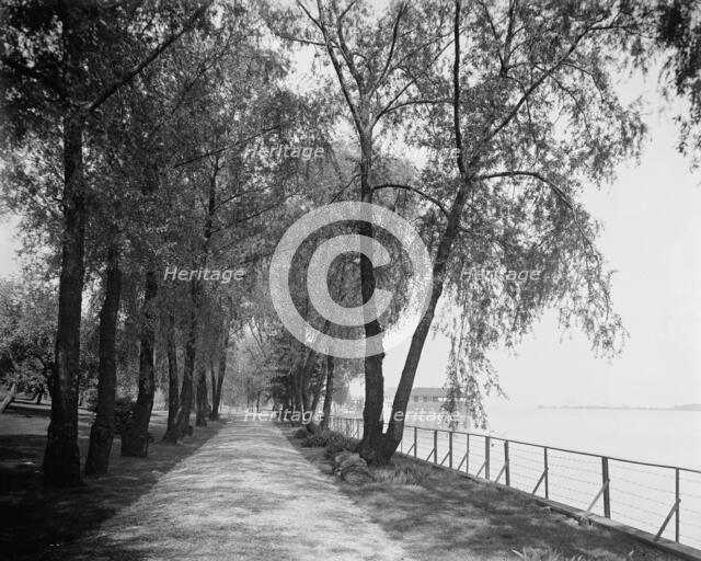 Wessonside Willow Road, Wesson estate, between 1900 and 1910. Creator: Unknown.
