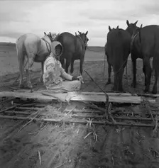 West Texas tenant farmer's wife, 1937. Creator: Dorothea Lange