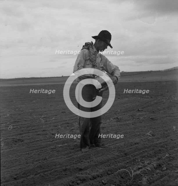 West Texas farmer prepares to sow millet, 1937. Creator: Dorothea Lange.