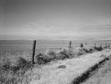 West wheat country in a region where yields are over twenty five..., Umatilla County, Oregon, 1939. Creator: Dorothea Lange