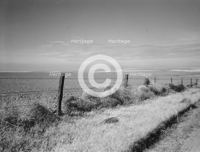 West wheat country in a region where yields are over twenty five..., Umatilla County, Oregon, 1939. Creator: Dorothea Lange.