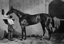 West Australian 1850-1870, (1911)