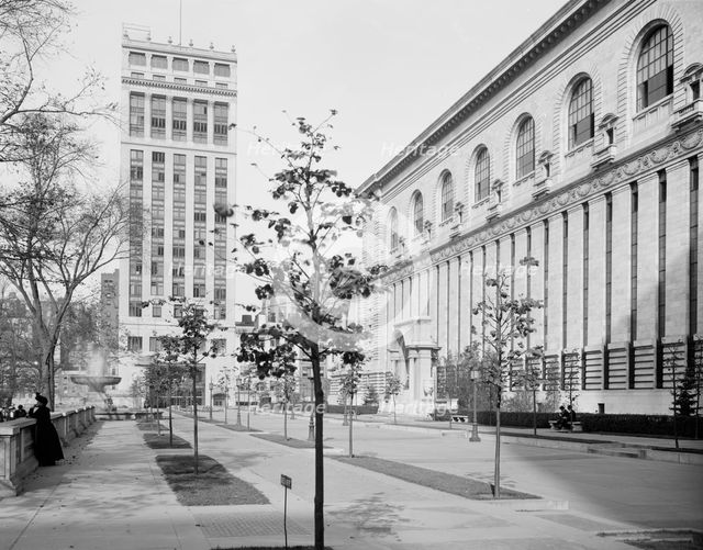 West court, New York Public Library, c.between 1910 and 1920. Creator: Unknown.