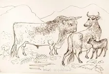 West Highland Cattle, 1825-1839. Creator: James Howe