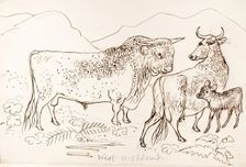 West Highland Cattle, 1825-1839. Creator: James Howe