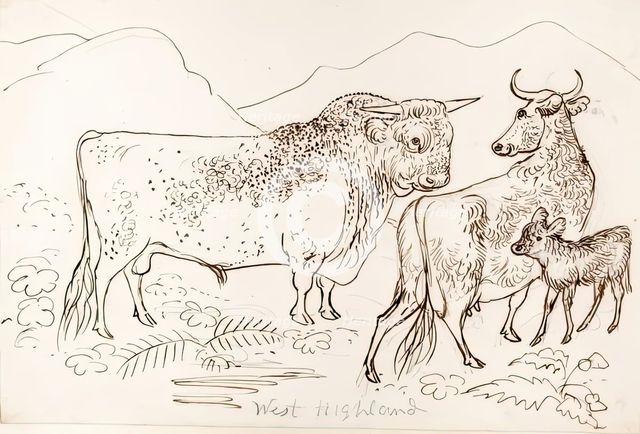 West Highland Cattle, 1825-1839. Creator: James Howe.