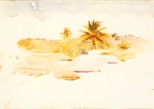West Indies, n.d. Creator: Abbott Handerson Thayer