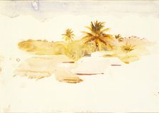 West Indies, n.d. Creator: Abbott Handerson Thayer