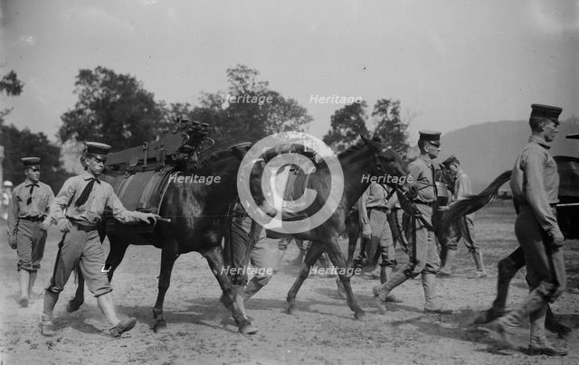 West Point Mountain Gun Squad, 1913. Creator: Bain News Service.