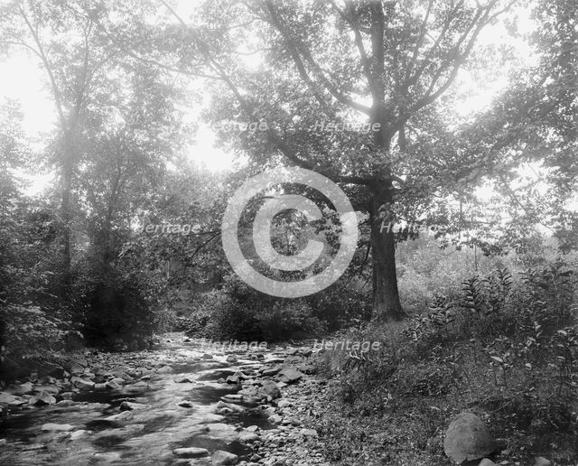 West River at Westville, New Haven, between 1900 and 1906. Creator: Unknown.