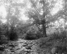 West River at Westville, New Haven, between 1900 and 1906. Creator: Unknown