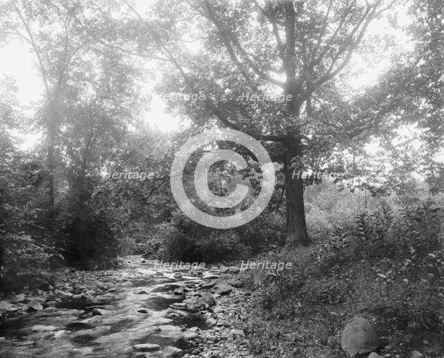 West River at Westville, New Haven, between 1900 and 1906. Creator: Unknown.