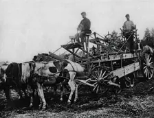 West Siberian Railroad. Earthworks Constructed with the "New-Era" Machine, 1892-1896. Creator: Unknown